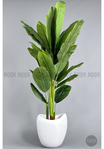 Biçiçek Yapay Muz Ağaci 210 Cm 4 Gövdeli̇ 21 Yaprak Beyaz Lale Saksıda