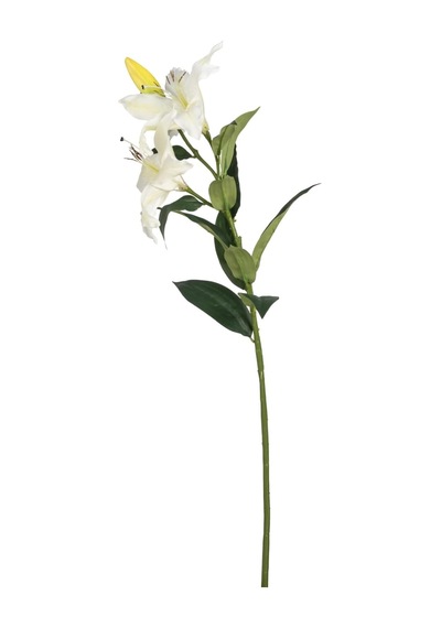 Zambak Çiçeği Beyaz 85 Cm Çok Renkli