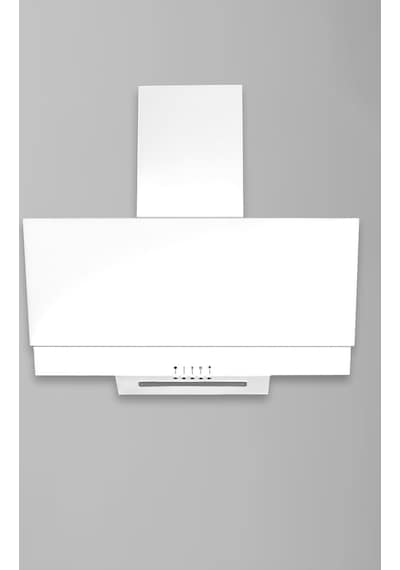 Alveus Mod F17 Duvar Tipi 60 CM Davlumbaz Beyaz