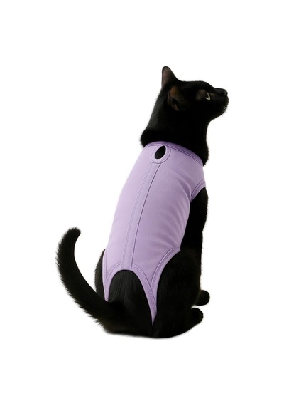 Kedi Ve Köpek Kıyafeti & Elbisesi Lila Medikal Veteriner Çıkışı Tulum Bej Xl