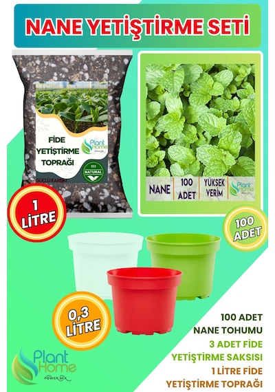 Nane Yetiştirme Seti Nane Tohumu + Cocopeat & Perlit Katkılı Fide Toprağı + 3 Lü Drenajlı Saksı