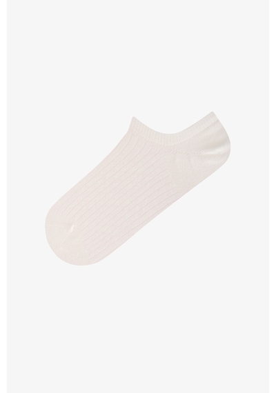 Penti Everyday Çizgili 5 Çift Sneaker Çorap Çok Renkli