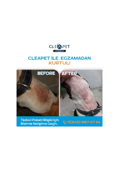 Cleapet Exclusıve Seri Nano Sprey 250 ML