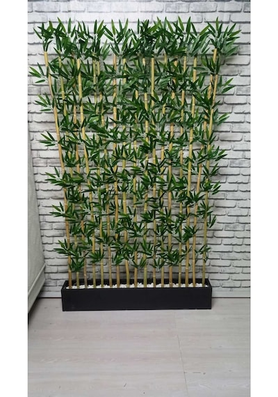 Bambu Speratör 100 Cm Saksıda 190 Cm Bambu 20 Adet Yeşil