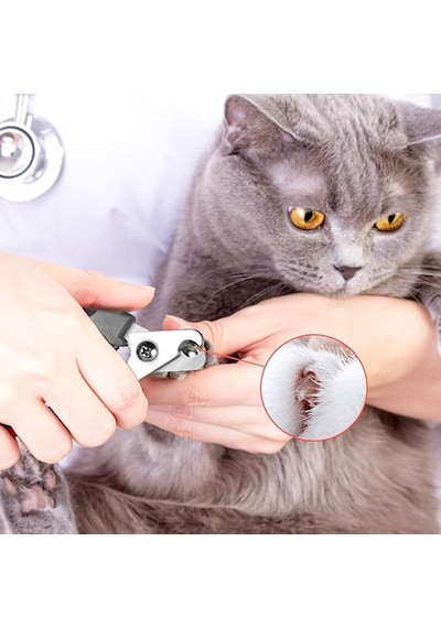 Kilitli Evcil Hayvan Tırnak Makası - Kedi Ve Yavru Köpek Tırnak Kesim Makası Paslanmaz Çelik 12 Cm