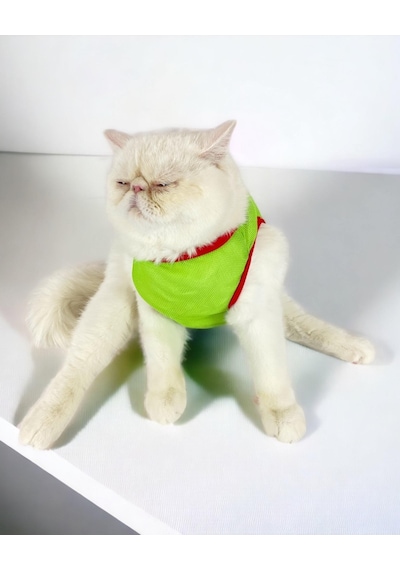 Kemique Pink Strawberry Atlet Kedi Kıyafeti Kedi Elbisesi