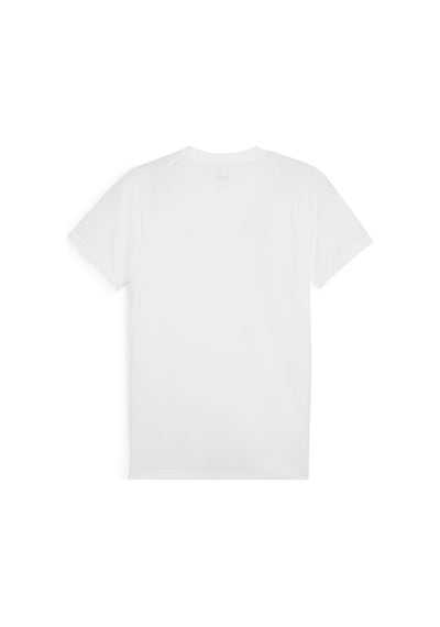 Puma 68169702 Evostripe Tee Erkek Spor Tişört 001