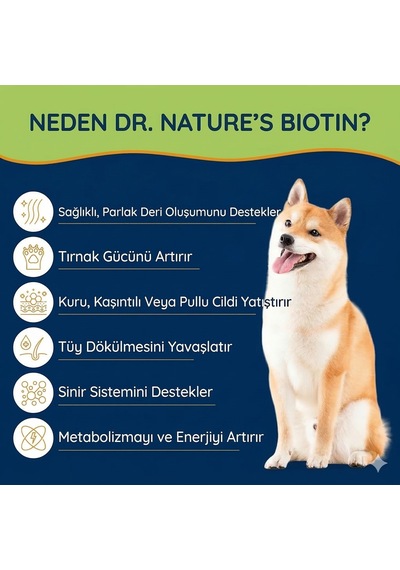 Köpek Biotin Damla 50 Ml Sıvı Deri Ve Tüy Sağlığı Desteği