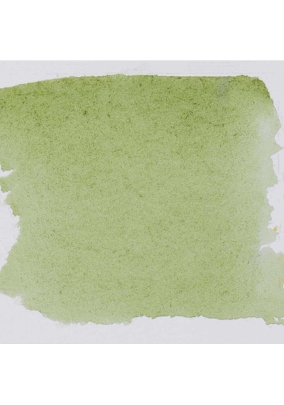Schmincke : Horadam Aquarell Artist Sulu Boya : Tam Tablet : Seri 1 516 Green Earth