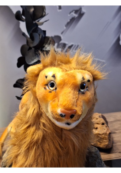 Orman Kralı Aslan Kahverengi