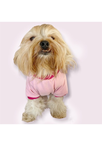 Kemique Nature Pink Oval Yaka Tişört Köpek Kıyafeti Kemique Nature Pink Oval Yaka Tişört Köpek Kıyafeti