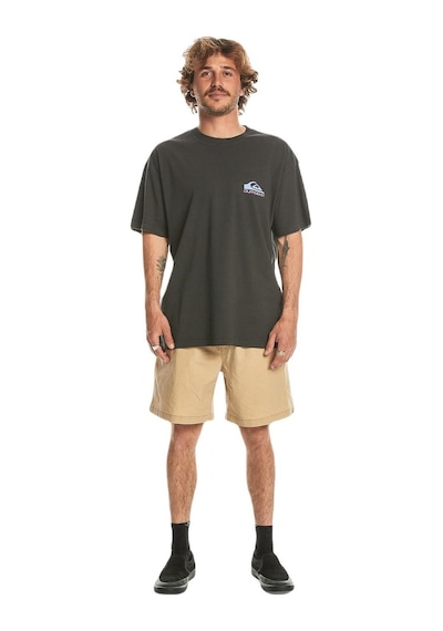 Quiksilver Eqyzt07654 Take Us Back Logo Ss Erkek Tişört 001