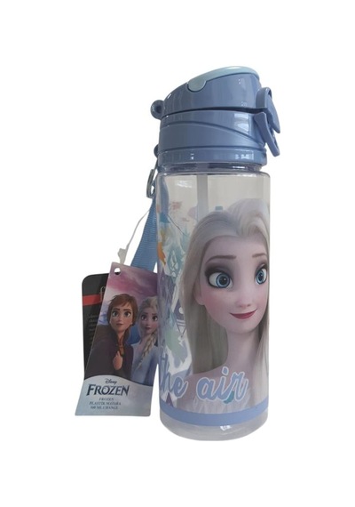 Frocx Frozen Lisanslı 500 Ml Matara 42505 Çok Renkli