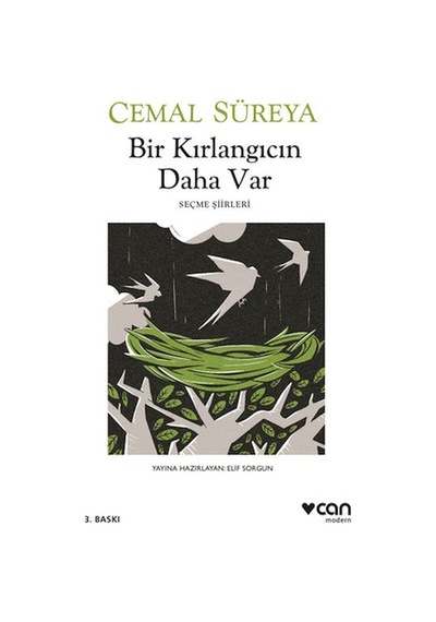 Bir Kırlangıcın Daha Var - Yqbx-647958