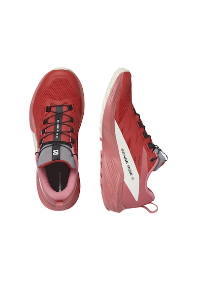 Salomon Sense Ride 5 W Kadın Koşu Ayakkabısı L47215200 Gri