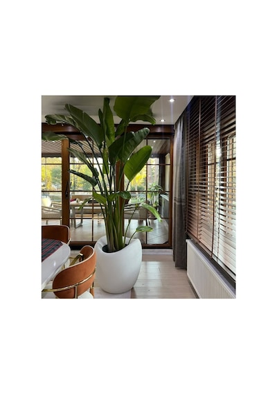 Mydecorza Bohem Home Fiberglas Bahçe Ve Ev Dekorasyonu Saksı Yumurta Modeli 45 Cm X 45 Cm