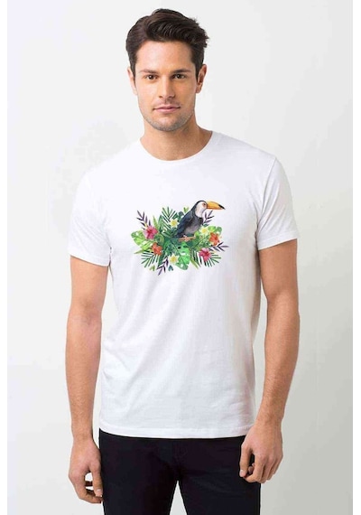 Sulu Boya American Papağanı Baskılı Beyaz Erkek Tshirt