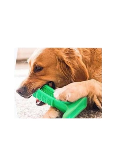 Köpek Diş Fırçası Isırma Diş Temizleme Çubuk Oyuncağı Pet Oyuncak N11.998