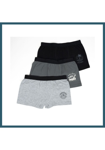 Bezos Erkek 2li Boxer Set K128997 Tek Adet Fiyatıdır Beden: 3-4 Yaş Renk: Asorti Ob Çok Renkli