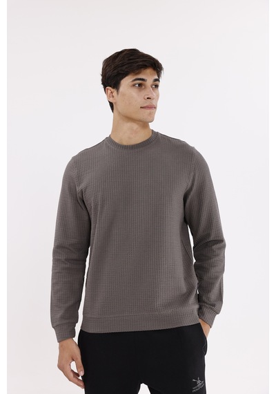 Rowinger Petek Yüzeyli Bisiklet Yaka Rahat Kalıp Lastik Manşetli Mevsimlik Sweatshirt Antracite Rowinger Petek Yüzeyli Bisiklet Yaka Rahat Kalıp Lastik Manşetli Mevsimlik Sweatshirt Antracite