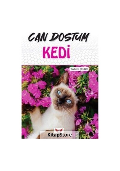 Can Dostum Kedi - Yıldırım Çelebi - Minel Yayınları