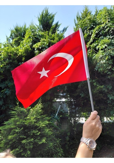 Vatan Sopalı Bayrak Bez 20x30 Bayrak 10'lu Diğer