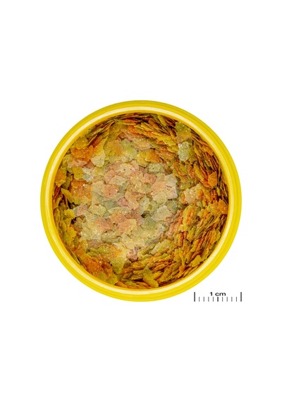 Pronovo Betta Flakes S 100ml