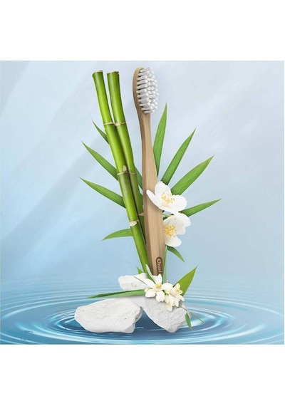 Diş Fırçası Bambu
