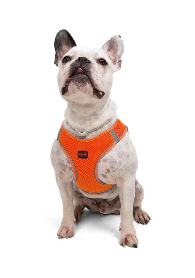 Tailpetz Air-mesh Küçük Ve Orta Irk Kedi Köpek Göğüs Tasması - Yumuşak, Nefes Alabilir, Dayanıklı Neon-turuncu, Large Sku: Zeusb0829cn2xn Açık Bej - Bej