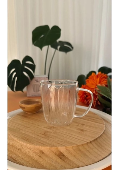 Luca Mia Doğa Kulplu Cam Bardak 6 Adet 20.0023