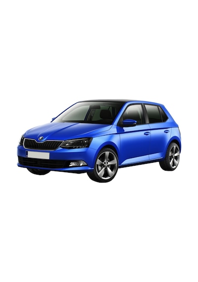 Rizline Skoda Fabia 3D Paspas Havuzlu Siyah Hb 2014-2020 Arası N11.10245