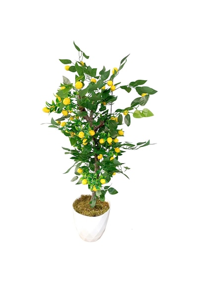 Limon Ağacı Yeşil Yapraklı Doğal Görünümlü Yapay Ağaç 100 Cm Beyaz