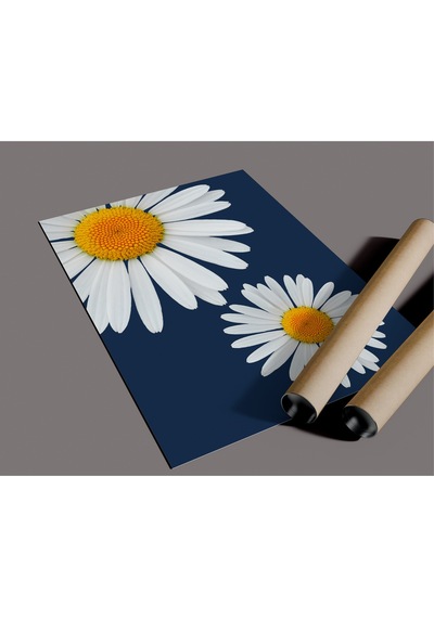 Çerçevesiz Poster Papatya Temalı Dijital Baskı Poster, Ev, Ofis, Salon Dekorasyon