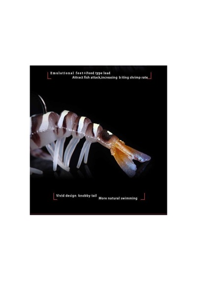 Naniwaosakashi Caridina Shrimp Tpe Yumuşak Karides 5cm 3,5gr
