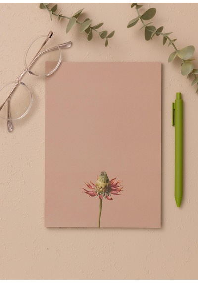 The Mia Art Line Mini Notluk Coneflower 15x21 Cm 40 Yaprak