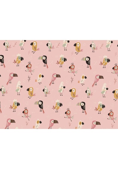 Maki Home Tek Kişilik 160x220+50x70 Kuş Desenli Pembe Nevresim Takımı %100 Pamuk