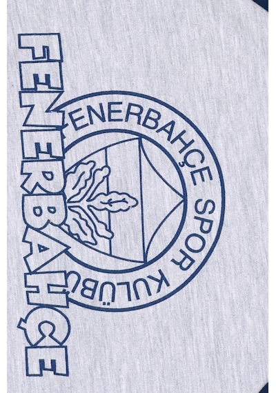 Fenerium Fenerbahçe Fb Logo Sarı-lacivert Bebek Sweat Gri - Lacivert
