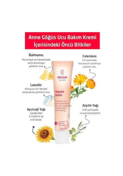 Weleda Organik Göğüs Ucu Bakım Kremi 25g