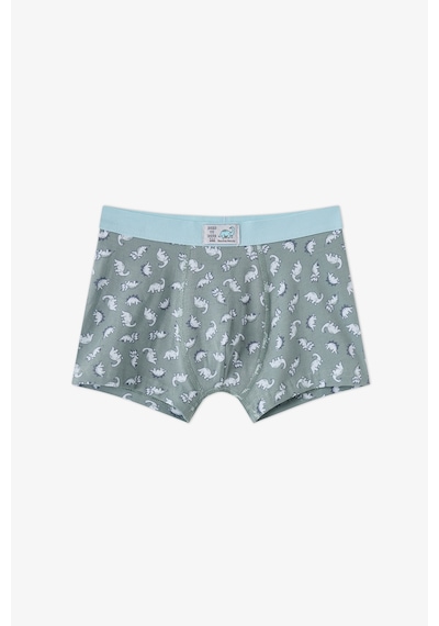 Penti Erkek Çocuk Mavi Dino Dash Pamuklu 3lü Boxer