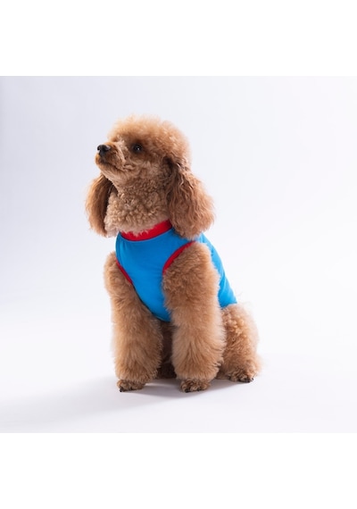Mavi Donut Teddy Tişört Kedi Köpek Tişörtü-kedi Köpek Kıyafeti
