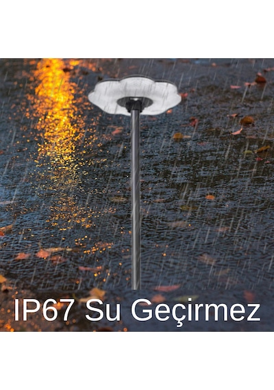 Forlife 200W Güneş Enerjili Solar Çiçek Sokak Armatürü (Direkli)