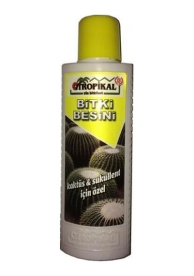 Sukulent Başlangıç Seti / 10 Bitki- Saksı-toprak-bitki Besini