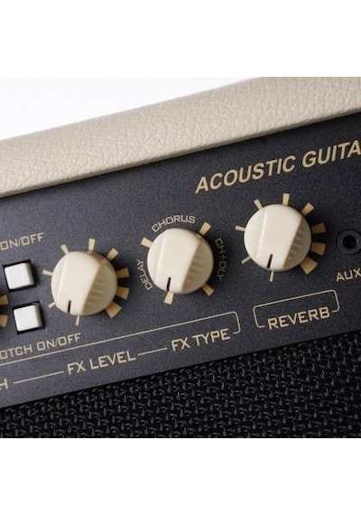 Cort Af60 Akustik Gitar Ve Enstrüman Amfisi Orta/profesyonel Seviye 60 Watt Güç, Çift Kanal Girişi, Dahili Reverb/chorus Efektleri Ve Çelik Izgara