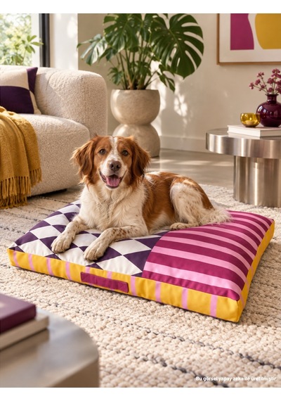 Premium Dikdörtgen Köpek Yatağı - 80x60 Cm Harley