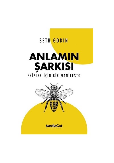 Anlamın Şarkısı - Ekipler İçin Bir Manifesto - Seth Godin - MediaCat Yayıncılık