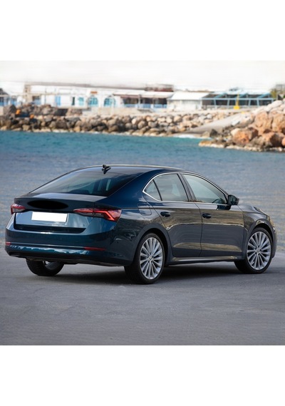 Skoda Octavia 4 Sedan 20-24 Arka Bagaj Amortisörü 1 Ad. 5e6827552