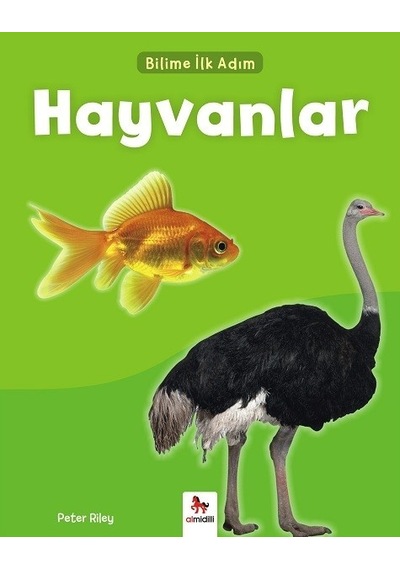 Hayvanlar-Bilime İlk Adım - Peter Riley - Almidilli
