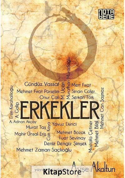 Erkekler - Ayşe Akaltun - Nota Bene Yayınları