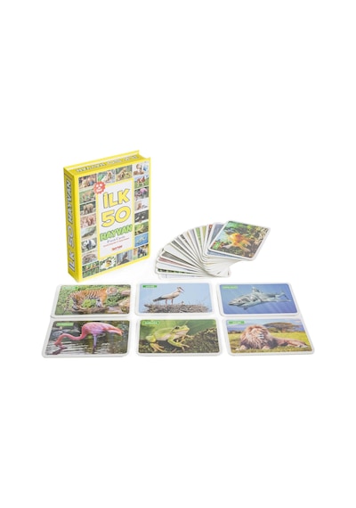 Flash Cards Ilk 50 Hayvan Bebek Eğitim Seti