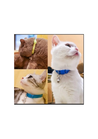 Nanyang Kayıp Evcil Hayvan Kimlik Etiketi - Dairesel Desenli Metal, Köpek&kedi Tasmaları İçin 2 Adet